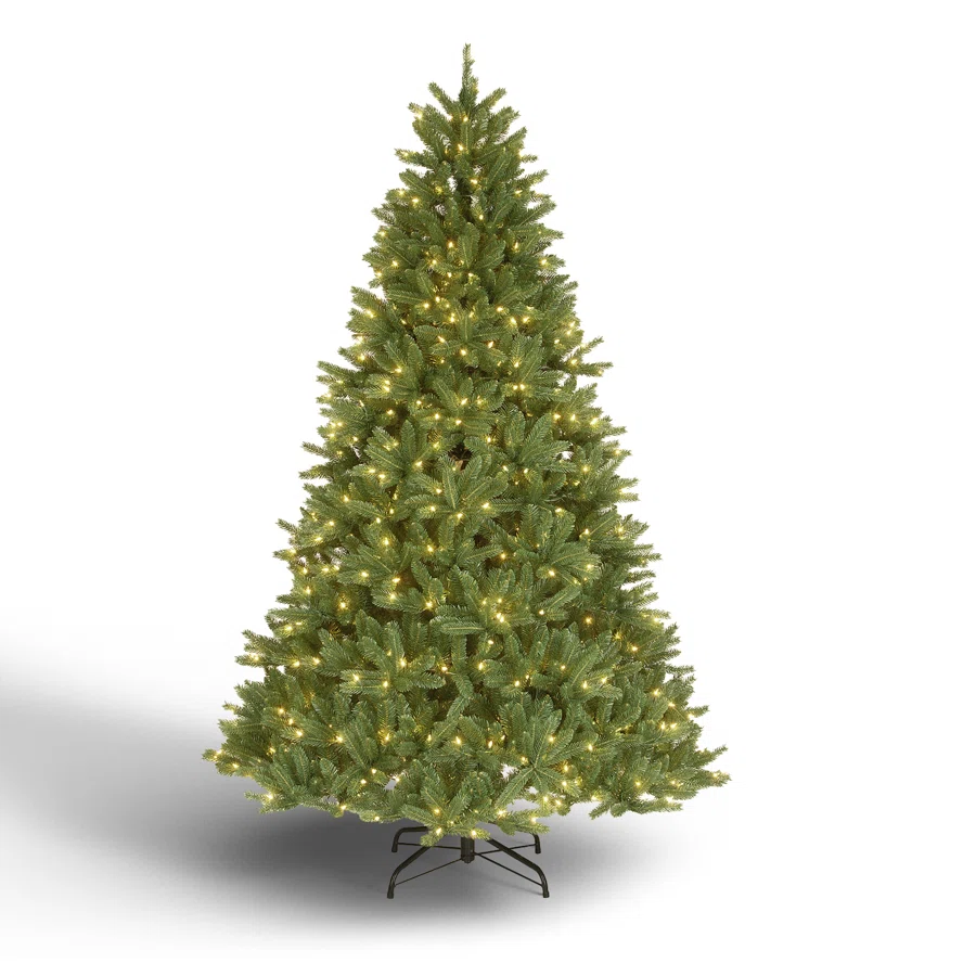 Wayfair Grand Duchess Balsam Fir